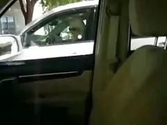 Ricci ragazza lavora con la video porno amatoriale casalinghe italiane sua bocca
