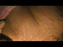 Cazzo tra tette e terminazioni in faccia video porno gratis amatoriali
